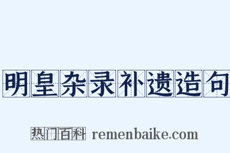 明皇杂录补遗造句是什么意思的图片